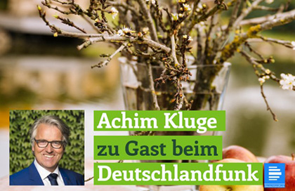 Hörtipp Podcast: DLF 