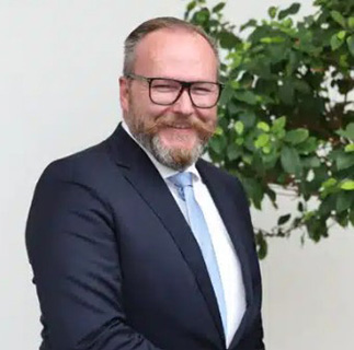 Riesen-Potenzial Dachgrün