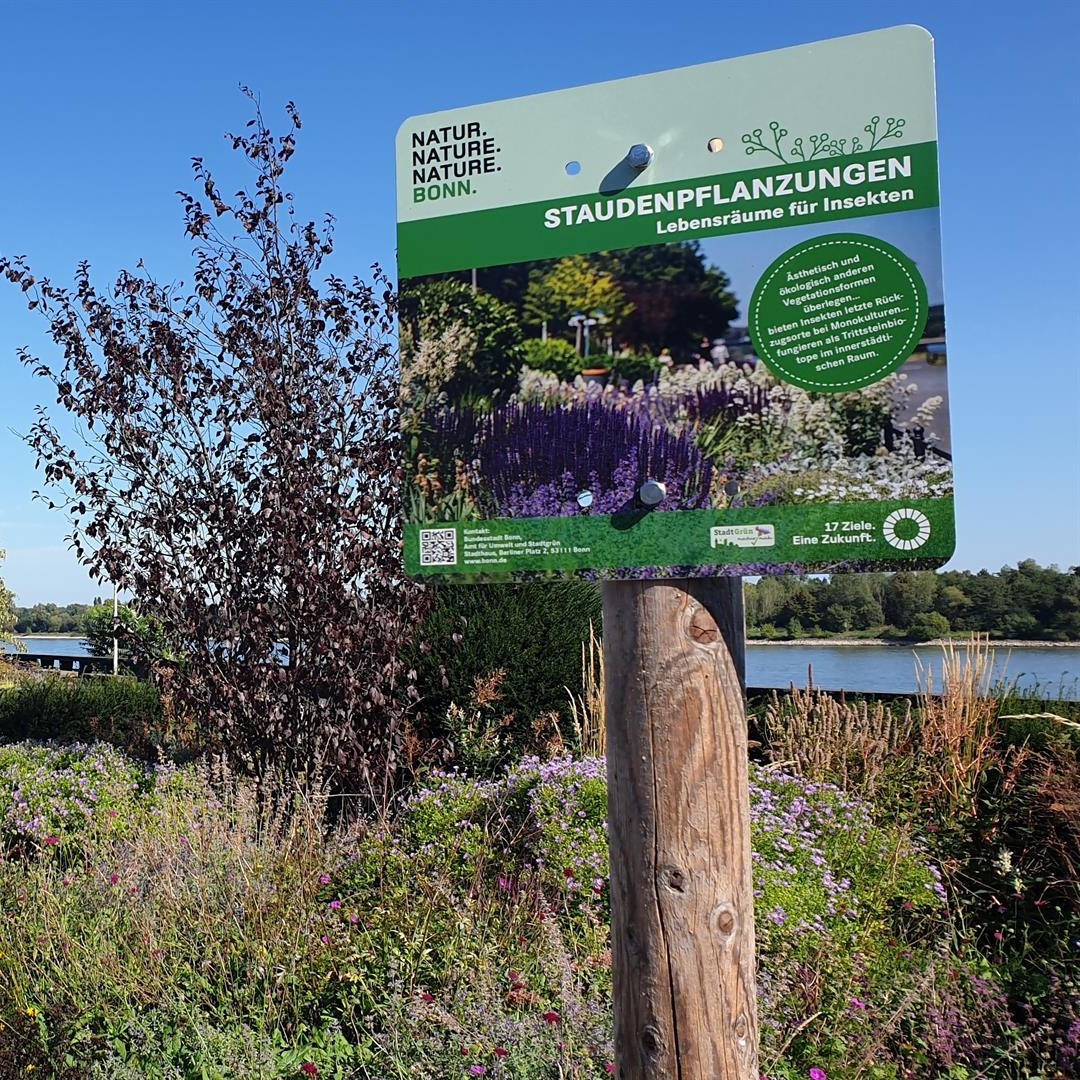 „Handbuch Gute Pflege“: Werkzeug für zukunftsfähige Grünpflege
