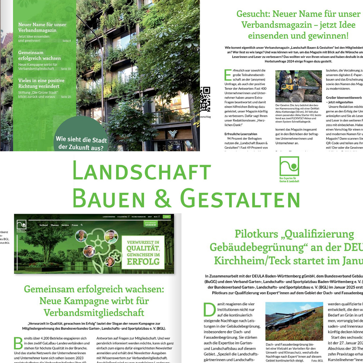 Verbandsmagazin als E-Paper