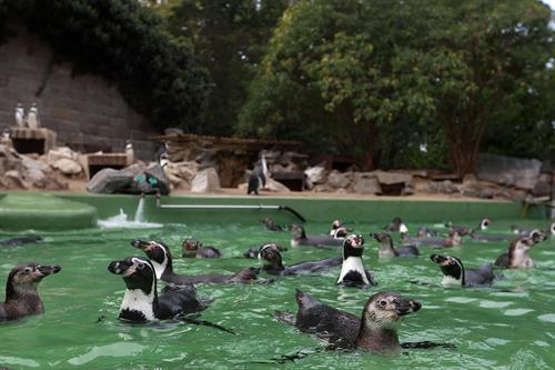 Mitgliederversammlung 2026