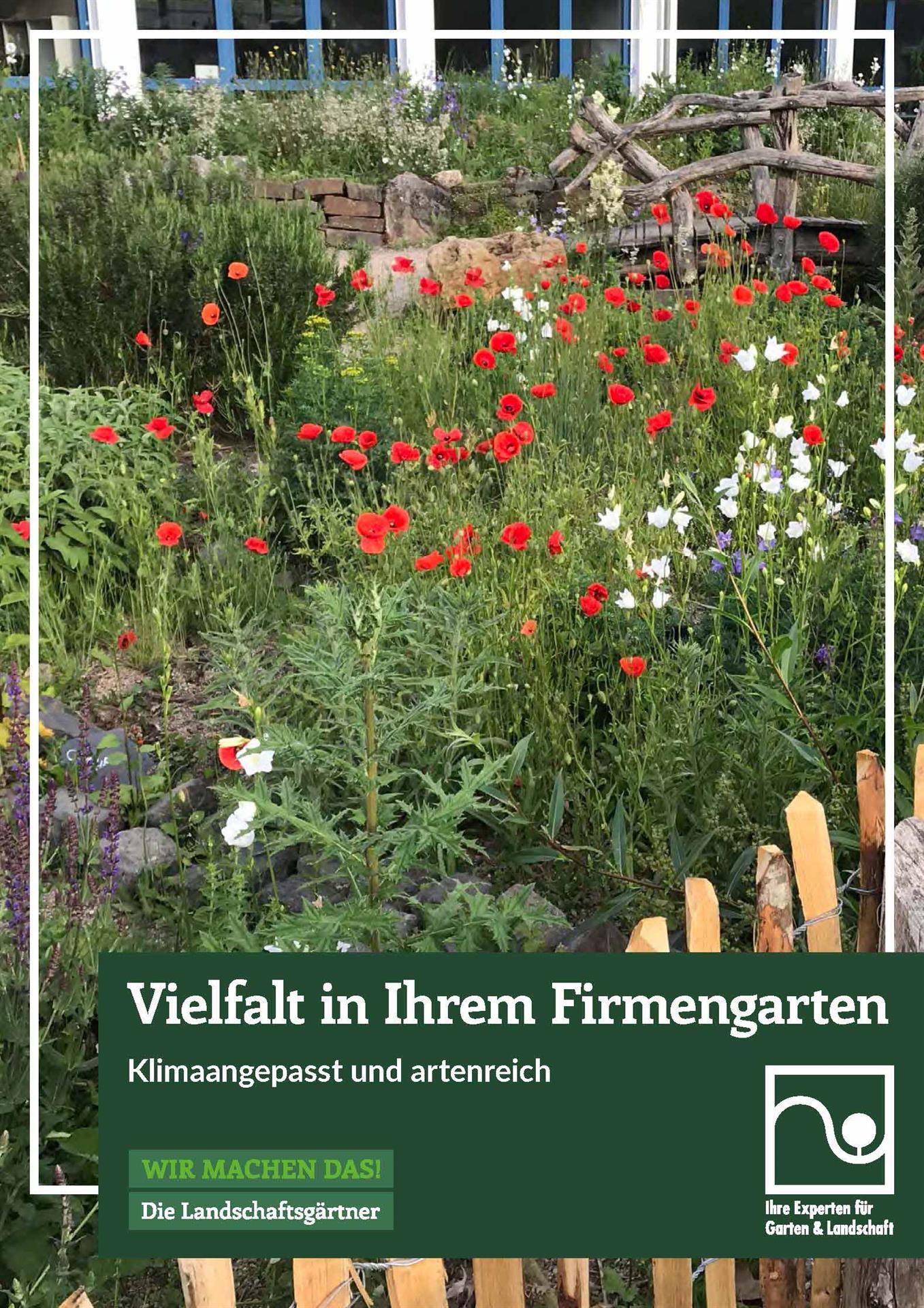 Neue BGL-Broschüre: „Vielfalt in Ihrem Firmengarten – klimaangepasst und artenreich“